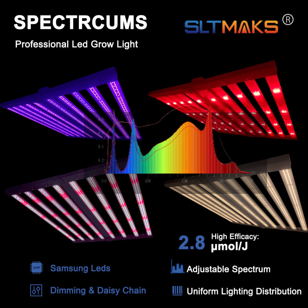 Amerykańskie lampy LED do upra – Led Grow Light recenzja i cena