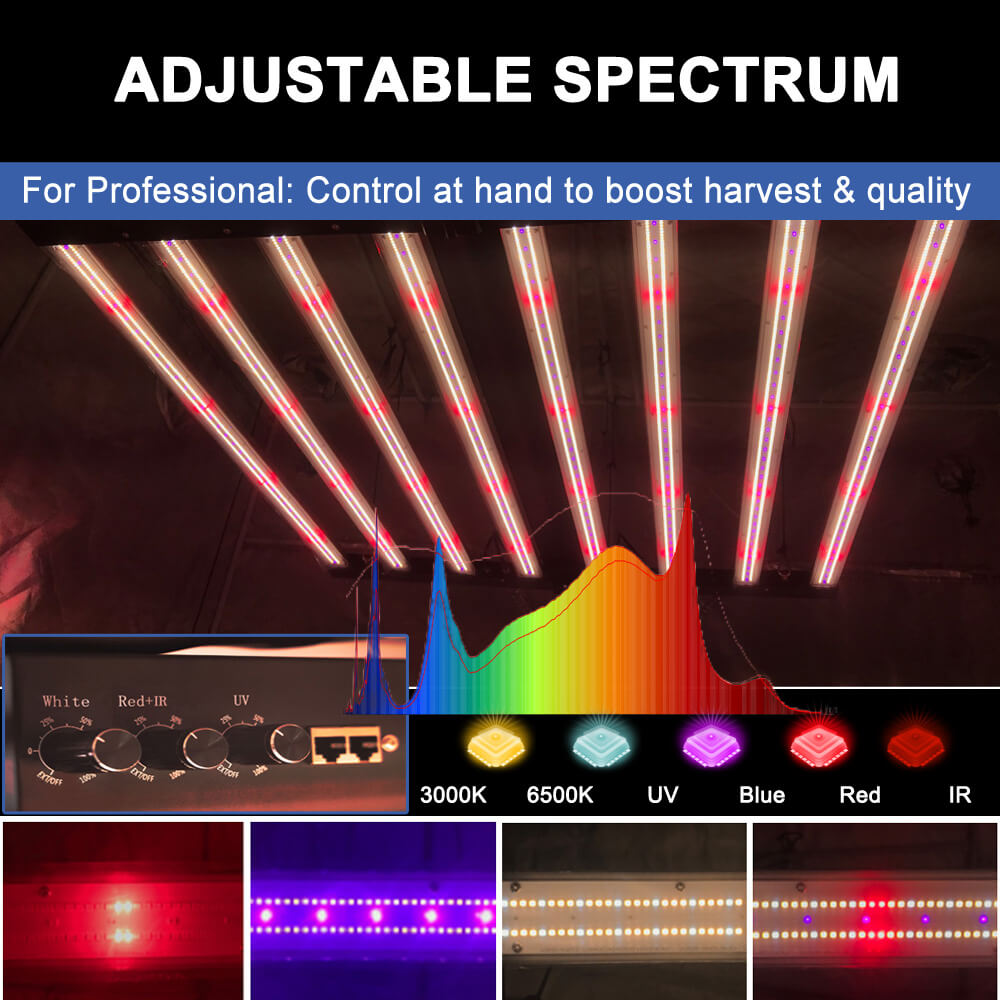 Amerykańskie lampy LED do upra – Led Grow Light recenzja i cena