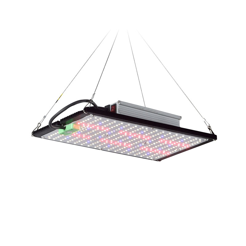 Światło LED Quantum-Board do u – Led Grow Light recenzja i cena