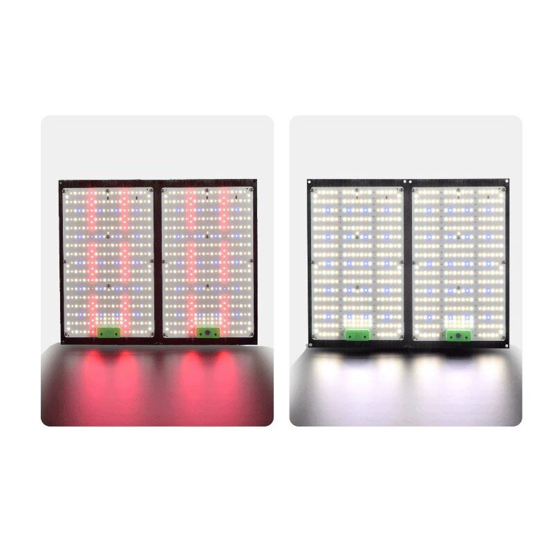 Światło LED Quantum-Board do u – Led Grow Light recenzja i cena