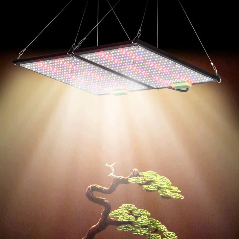 Światło LED Quantum-Board do u – Led Grow Light recenzja i cena