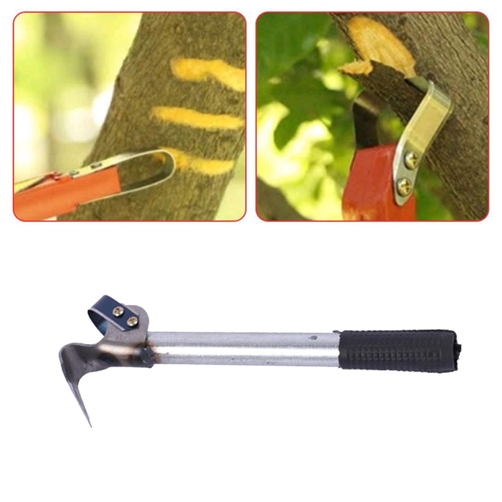 Narzędzie do usuwania kory, ko – Gardening Tools Drawing recenzja i cena