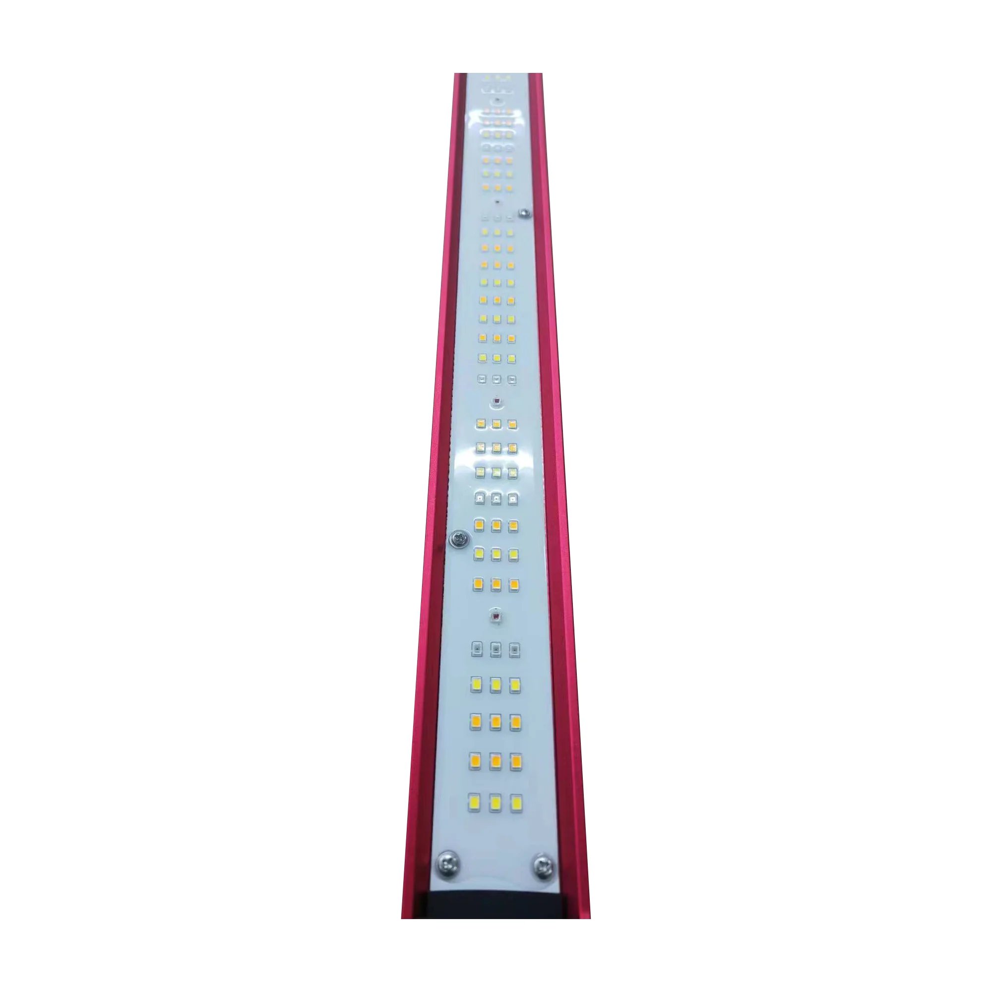 450W 600W 800W 1000Watt Wewnęt – Led Grow Light recenzja i cena