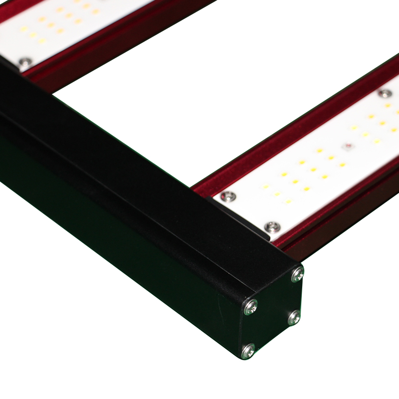 450W 600W 800W 1000Watt Wewnęt – Led Grow Light recenzja i cena