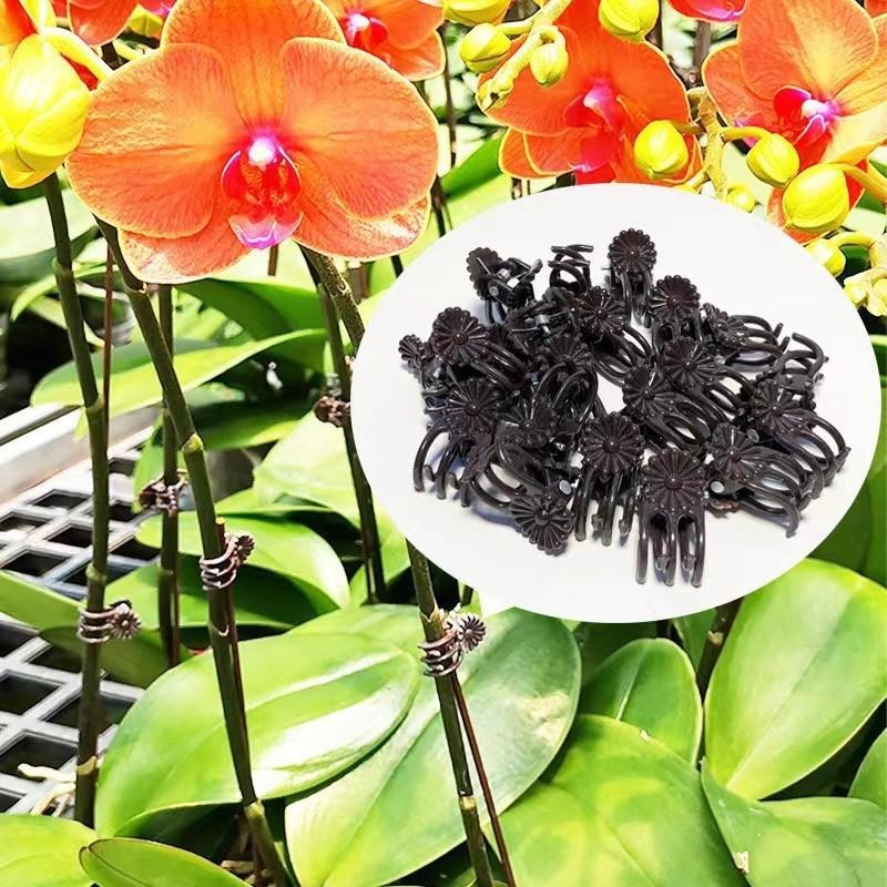 Hurtowe mini klipsy do podtrzy – Gardening Tools Wholesale recenzja i cena