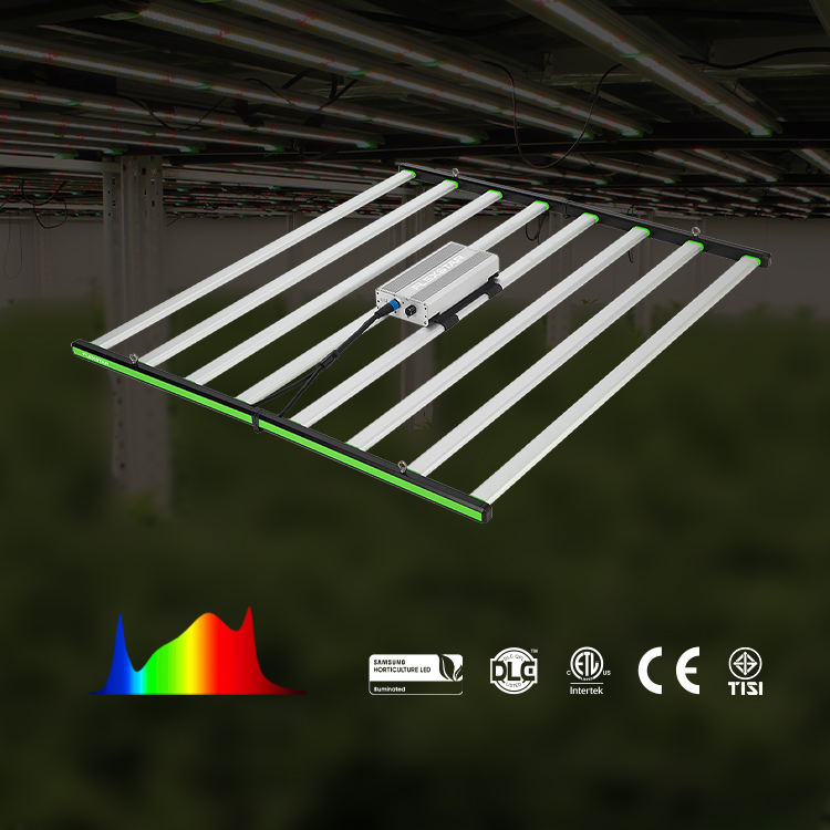 Lm301h Evo 281b Pełnospektraln – Led Grow Light recenzja i cena