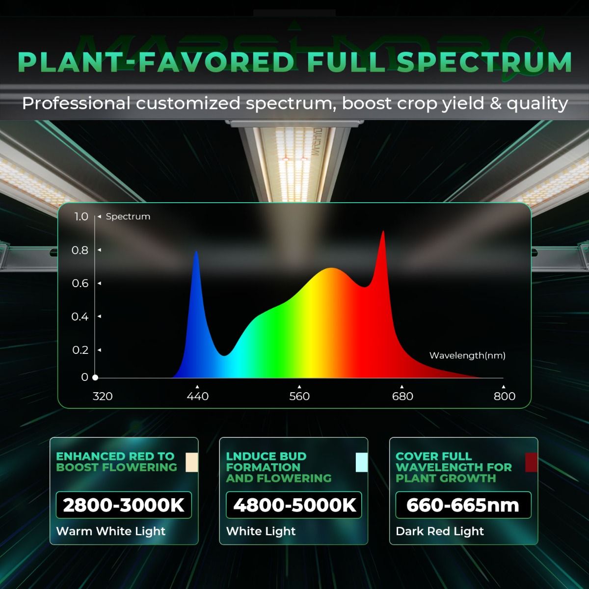 800W Mars Hydro FC-E8000 Najle – Led Grow Light recenzja i cena