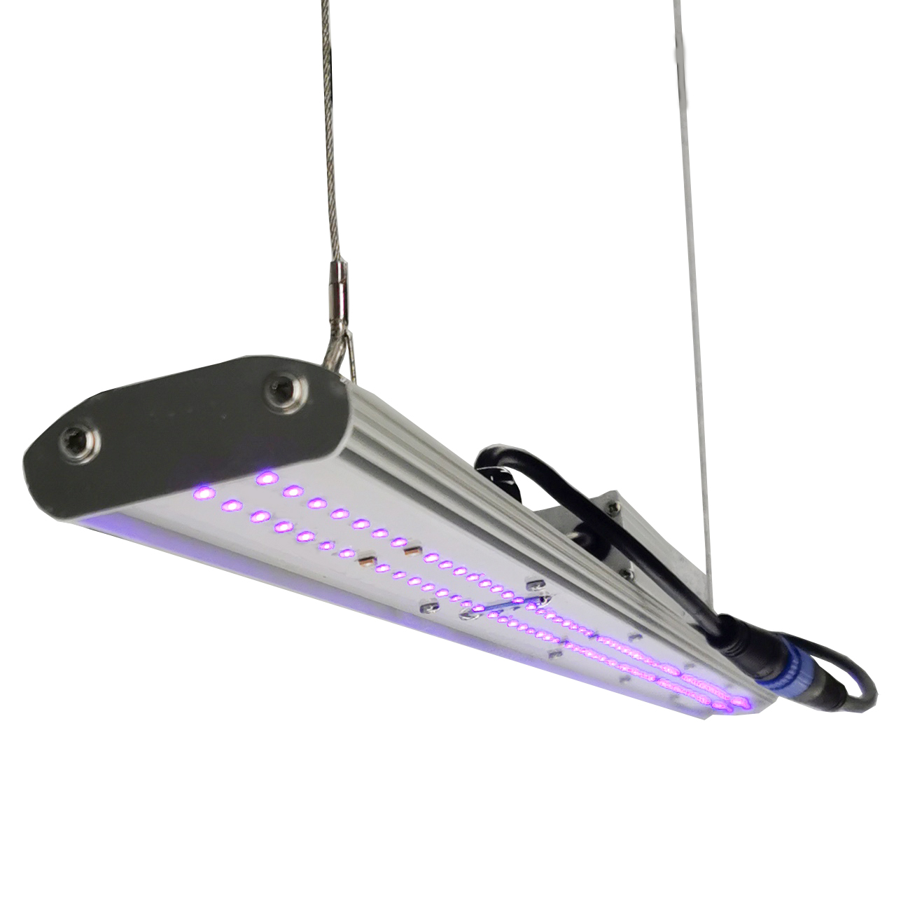 DANSE LED Manualny Ściemniacz  – Led Grow Light recenzja i cena