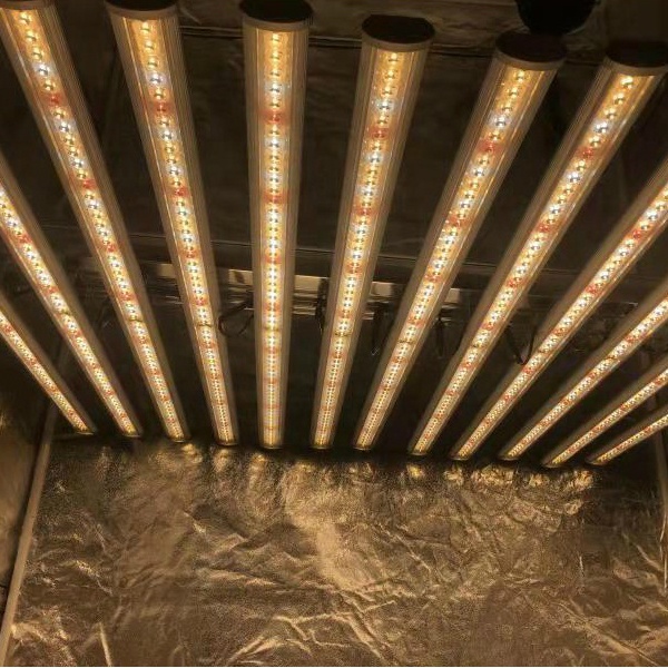LUX Chińska Fabryka Oświetleni – Led Grow Light recenzja i cena