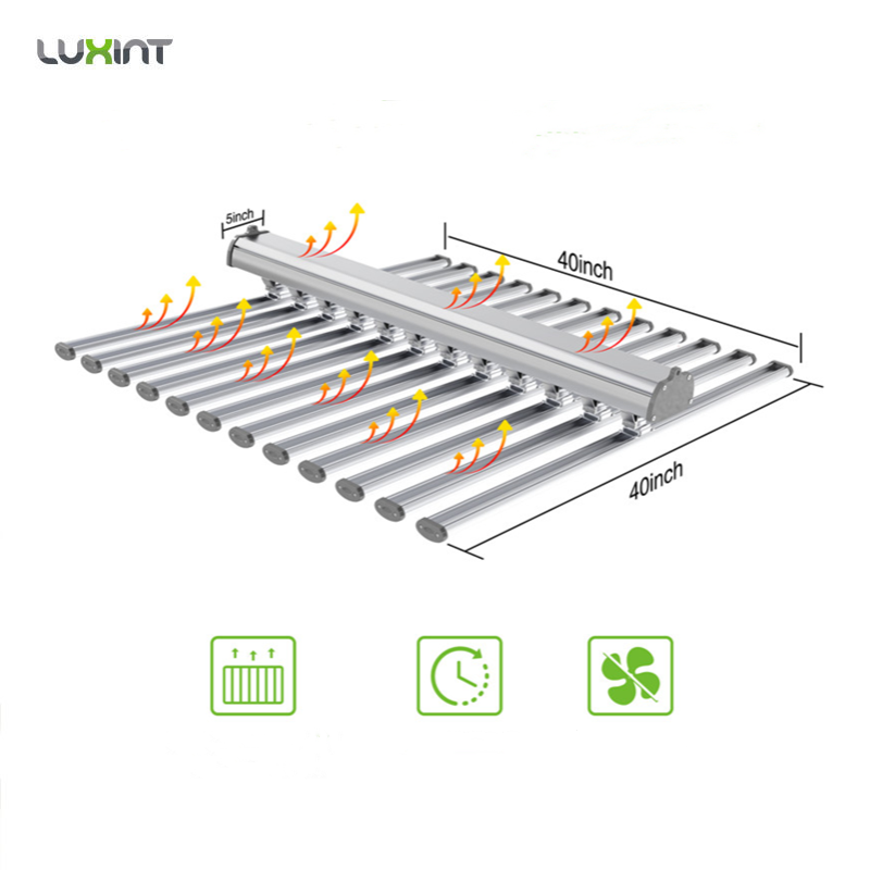 LUX Chińska Fabryka Oświetleni – Led Grow Light recenzja i cena