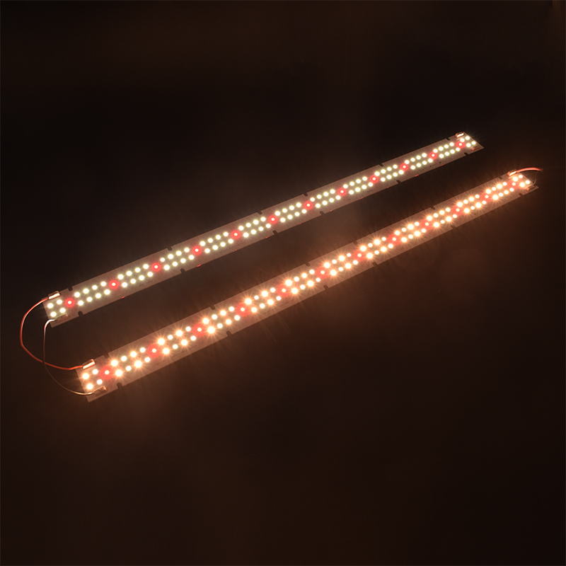 Wysokiej jakości lampa LED COB – Led Grow Light recenzja i cena