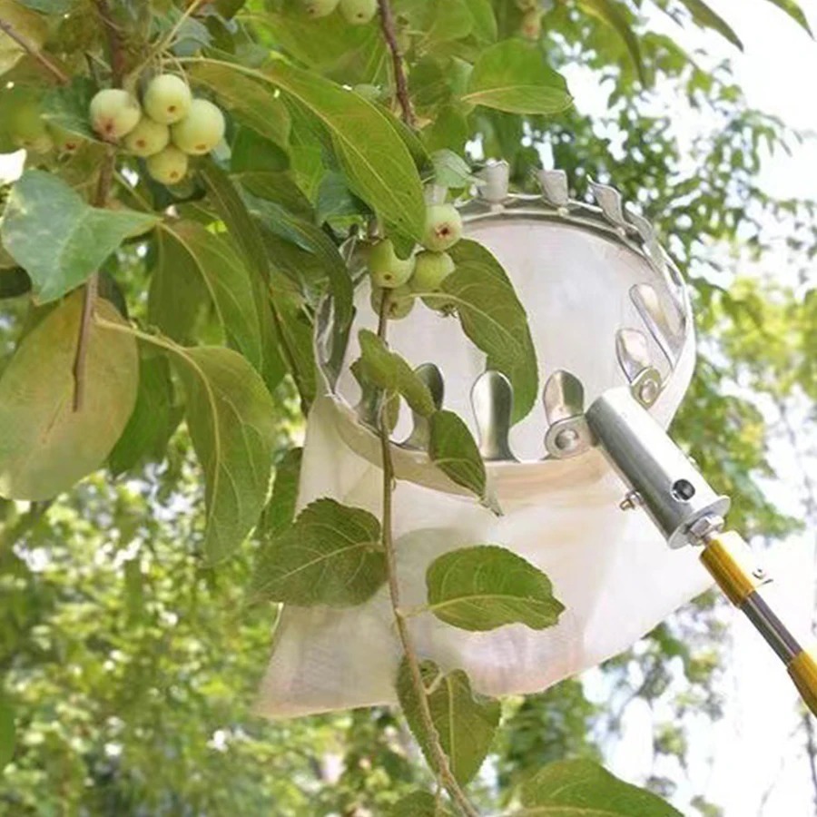 Profesjonalne narzędzie do zbi – Gardening Tools Rack recenzja i cena