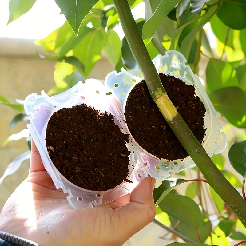 10-częściowy zestaw do rozmnaż – Gardening Tools Rack recenzja i cena