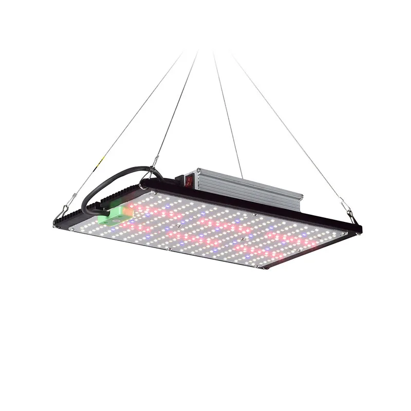 Światło LED Quantum-Board do u – Led Grow Light recenzja i cena