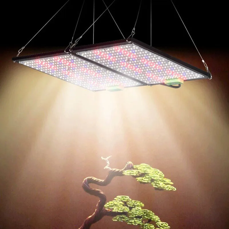 Światło LED Quantum-Board do u – Led Grow Light recenzja i cena